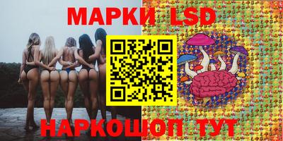скорость Заводоуковск