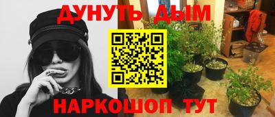 прущие крисы Донской