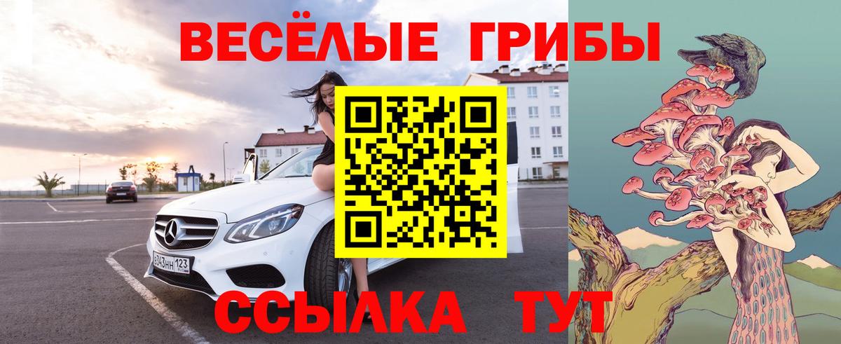 Псилоцибиновые грибы мицелий  купить наркотики цена  Дербент  Вход с VPN  Галлюциногенные грибы GOLDEN TEACHER 
