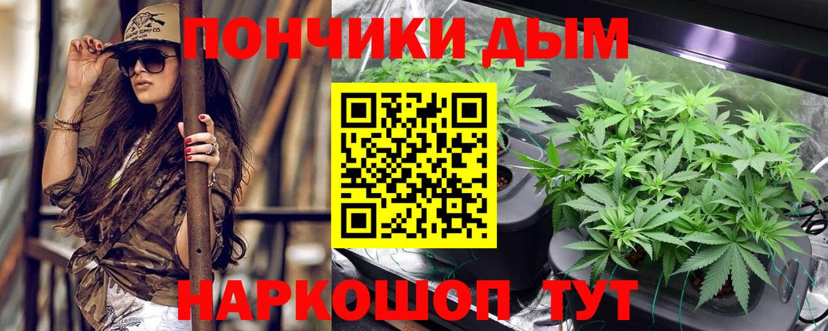 Каннабис White Widow  Канабис индика  Дербент  Вход с VPN  Бошки Шишки THC 21% 